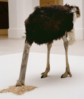 Sans titre, Maurizio Cattelan